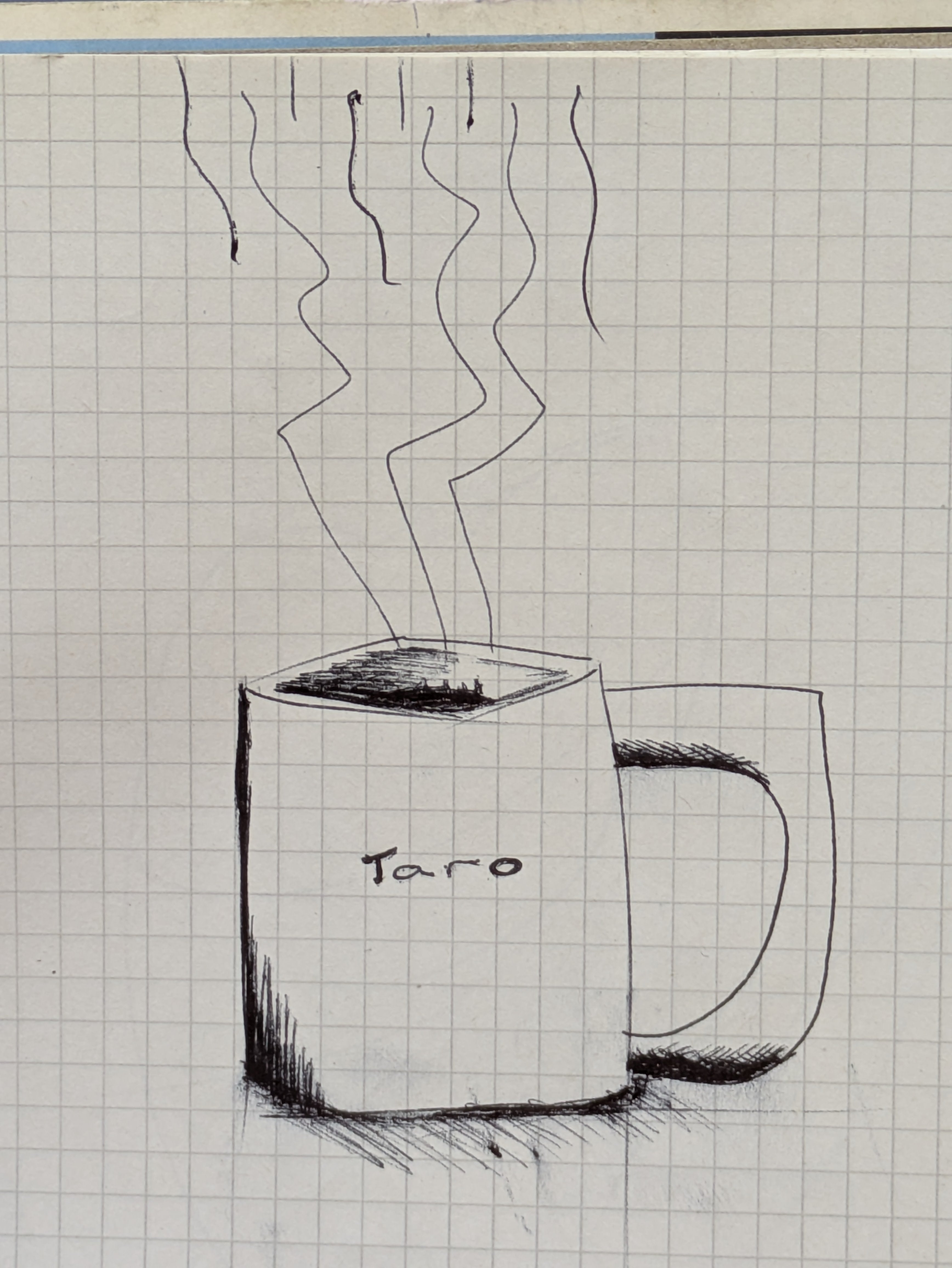 boceto taza taro moda